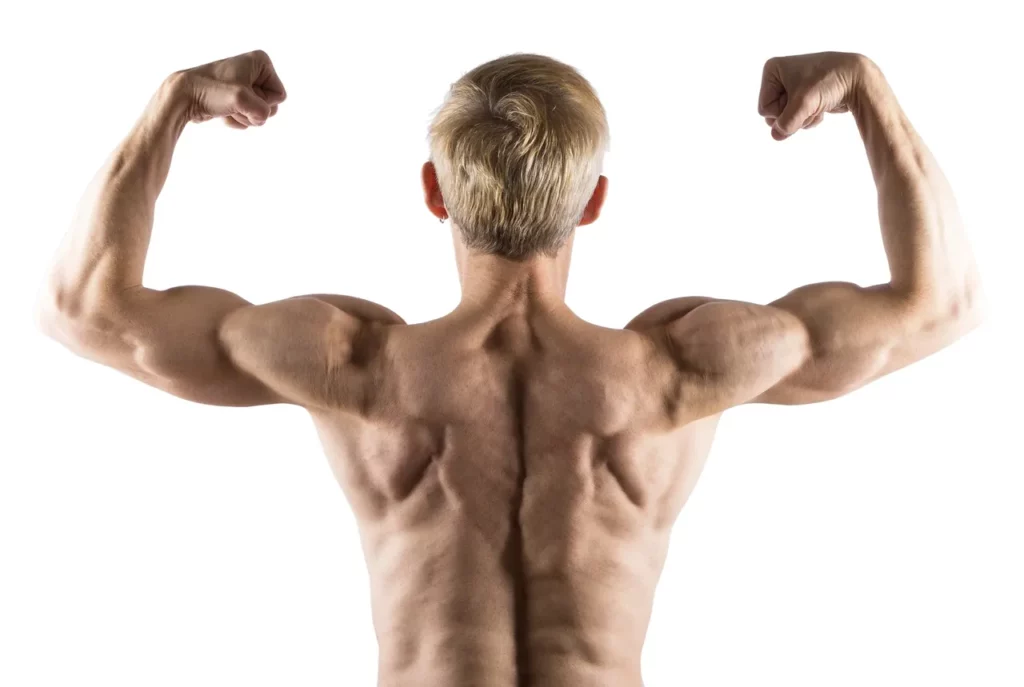 the back of a man showing his muscles.